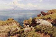 unknow artist Sheep 164 Sweden oil painting artist